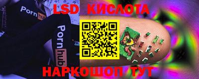 мдпв Камышлов