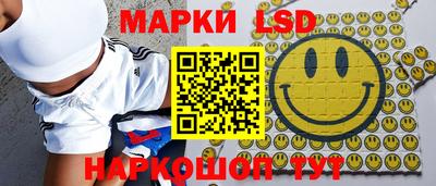 мдпв Камышлов