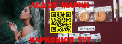 мдпв Камышлов