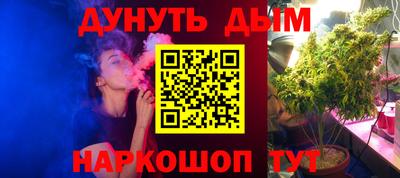 мдпв Камышлов