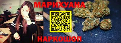 мдпв Камышлов