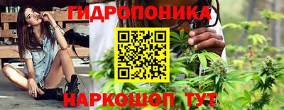 мдпв Камышлов