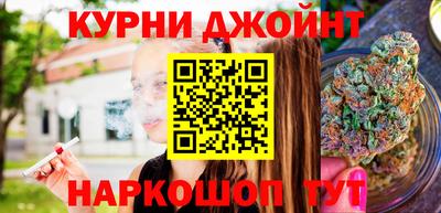 мдпв Камышлов