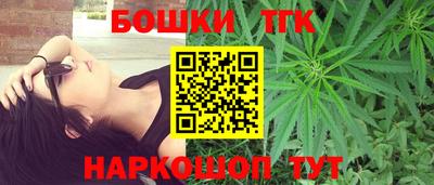 мдпв Камышлов